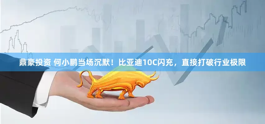 鼎豪投资 何小鹏当场沉默！比亚迪10C闪充，直接打破行业极限